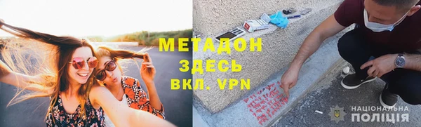 шишки Арсеньев